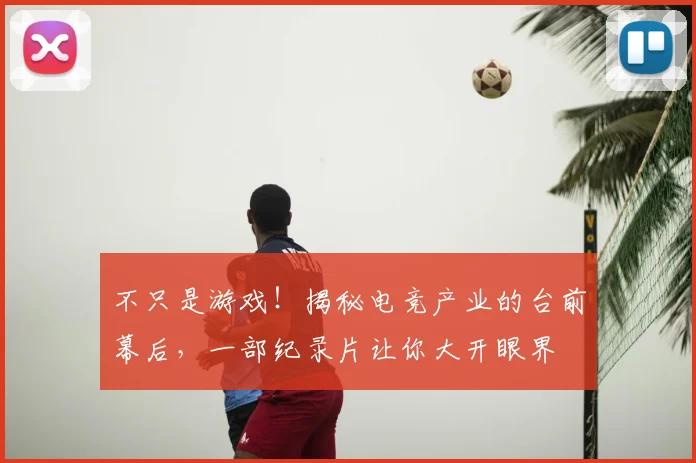 不只是游戏！揭秘电竞产业的台前幕后，一部纪录片让你大开眼界